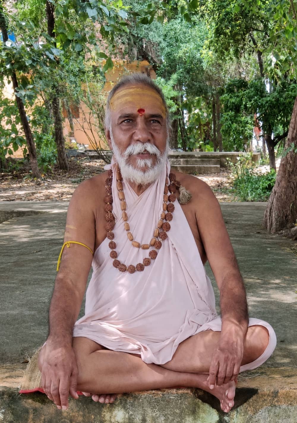 स्वामी श्री श्रीधरानंद सरस्वती जी महाराज का चित्र